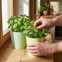 Artikel Papieren cachepot, plantenbak, kruidenpot blauw/groen Ø15cm H13cm 4st