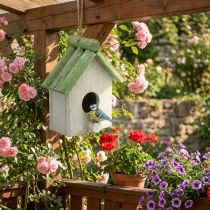 Artikel Hangdecoratie vogelhuisje hout groen wit 14,5×7,5×17,5cm