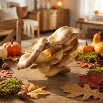 Artikel Decoratieve paddenstoelen lichtbruine kunstoesterzwammen 19×12×9cm