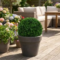 Artikel Buxus bol groen Ø25cm