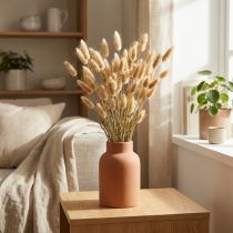 Artikel Lagurus ovatus Gedroogde Bloemen Fonteingras Fluweelgras Decoratief Lichtbruin 20-50cm 25g
