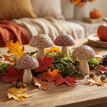 Artikel Houten paddenstoelen decoratieve paddenstoelen tafeldecoratie herfstbruin naturel 5×6cm 8 st