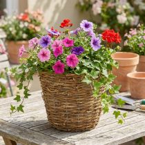 Artikel Plantenmand voor wijnranken Ø25cm H22.5cm natuurlijke plantenbak