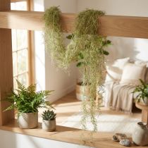 Artikel Tillandsia decoratieve hanglamp Tillandsia kunstgroen wit 180cm