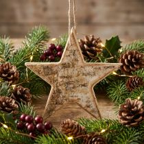 Artikel Houten sterren decoratieve decoratieve hanger rustiek decoratief hout Ø15cm