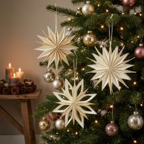 Artikel Papieren sterren, kerstversiering, boomversiering, wit en goud, 15 cm, 6 stuks