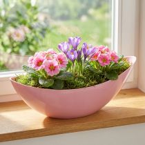 Artikel Plantenboot plastic bloemenschaal roze 28×9×9cm 3st