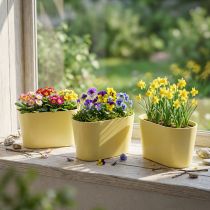 Artikel Plantenschaal ovaal geel decoratieve schaal kunststof 20×10×11cm 3 stuks