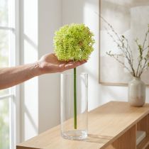 Artikel Allium groene bloem kunst sierui Ø18cm 90cm