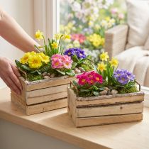 Artikel Plantenbak Hout Schors Natuurlijk Handvat L29cm/23cm Set 2st