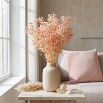 Artikel Gypsophila Decoratie Oranje Gedroogde Grassen Perzik 65-70cm 100g