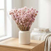Artikel Gedroogde Bloemen Bos Droge Decoratie Kamille Roze 65cm 50g