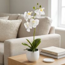 Artikel Witte orchideeën kunstbloemen in pot Phalaenopsis H33cm