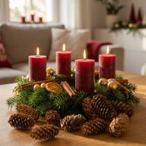 Artikel Kleine hemlock kegels decoratieve natuurkegels Advent 3-4cm 100g