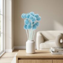 Artikel Decoratie met gedroogde Craspedia-bloemen voor in een vaas, minimalistische stijl, langdurige zomerdecoratie, 55 cm, 20 stuks