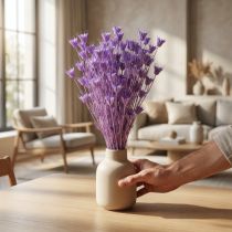 Artikel Boeket gedroogde nigellabloemen, decoratief voor in de woonkamer, creëert een unieke sfeer, 70 cm, 50 g