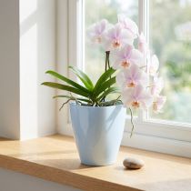 Artikel Orchideepot glanzend Ø12,5cm wit 1 st
