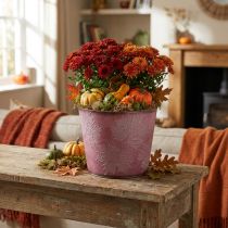 Artikel Herfstpot, plantenemmer, metalen decoratie met bladeren wijnrood Ø25.5cm H22cm