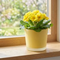 Artikel Glazen bloempot gele plantenbak glazen kuip Ø10cm H8.5cm