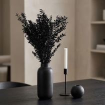 Artikel Ruscustakken, decoratieve takken, gedroogde bloemen, zwart – tweede keus – 200 g