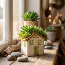 Artikel Keramische plantenbak in rustieke stijl voor een gezellige sfeer, 11 cm
