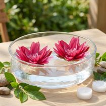 Artikel Drijvende waterlelie kunstmatige tafeldecoratie fuchsia Ø15cm 2 stuks