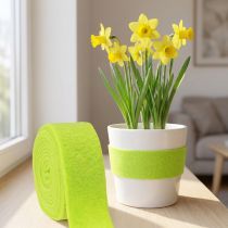 Artikel Vilten lint groen 7,5cm 5m