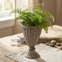 Artikel Decoratieve trofee plantenbak antieklook grijsbruin Ø13cm H19cm