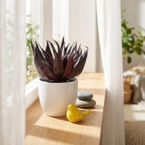 Artikel Aloë Vera Kunstplant in Pot Decoratieve Plant Groen H20cm