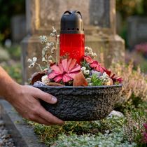 Artikel Oasis Black Biolit Plantenschaal Bloemenschaal Zwart Ø26cm