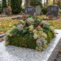Artikel Decoratief mos – echt mos en korstmos voor bloemstukken 250g