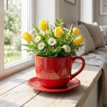 Artikel Grote decoratieve kop met schotel, ook geschikt als plantenpot, 17 cm