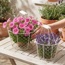 Artikel Decoratieve draadmanden als decoratieve oplossing voor een creatieve tuininrichting, 30 cm, 1 set