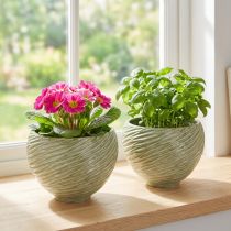 Artikel Plantenbak decoratieve schaal keramiek in groen Ø15cm H11cm 2st