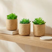 Artikel Kunstvetplanten in pot Kunstplanten Assorti 10cm 3st