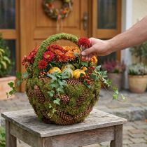 Artikel Rustieke plantenmand met mos en dennenappels - decoratieve mand met handvat Ø32cm H42cm - veelzijdige tuin- en huisdecoratie