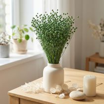 Artikel Gedroogd vlasgras, groen, 50-55 cm, decoratief doe-het-zelf