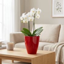 Artikel Orchideepot glanzend Ø12,5cm rood, 1 st