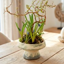 Artikel Decoratieve schaal keramiek met voet crème grijs groen Ø17cm 10cm