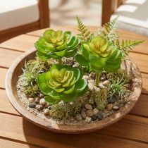 Artikel Echeveria Kunstmatige Vetplanten Groen Ø7cm 6 stuks