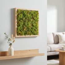 Artikel Kunstmosmosmat – perfect voor mosfoto lichtgroen 25×25cm