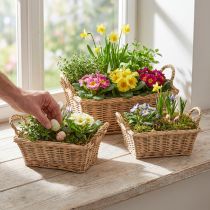 Artikel Plantenmand rechthoekig riet naturel 39/33/27cm set van 3