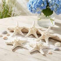 Artikel Decoratieve zeester grote gedroogde witte zeester met studs 19-26cm 5 st