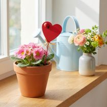 Artikel Hartpluggen hout rode decoratieve harten met lieveheersbeestjes 6cm 16 st