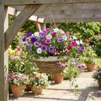 Artikel Plantenschaal, hanging basket, hanging basket naturel, wit Ø35cm