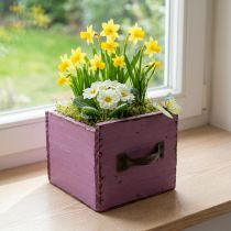 Artikel Plantenlade houten sierplantenbak paars 12,5cm