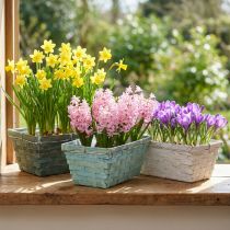 Artikel Plantenbak, gevlochten plantenmand, vierkante chipmand groen/wit 25cm 6 st