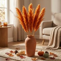 Artikel Gedroogd gras, rietgras, decoratief gras, oranje, herfstdecoratie, 70cm, 10 stuks