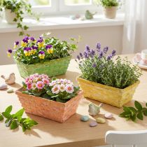 Artikel Frietmandenset vierkant veelkleurig 20/11cm 8 stuks
