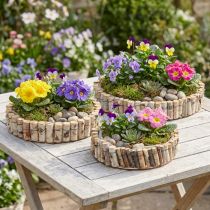 Artikel Ronde bak voor het planten van naturel berken Ø23/31/41cm set van 3